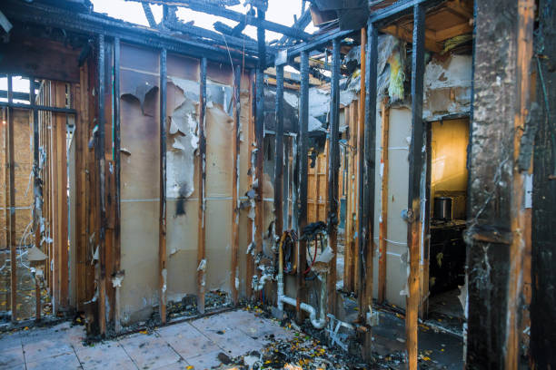 Professional Fire Damage Removal technician working in West Elmira, NY